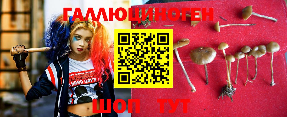 Алатырь  Псилоцибиновые грибы GOLDEN TEACHER  Вход с VPN 