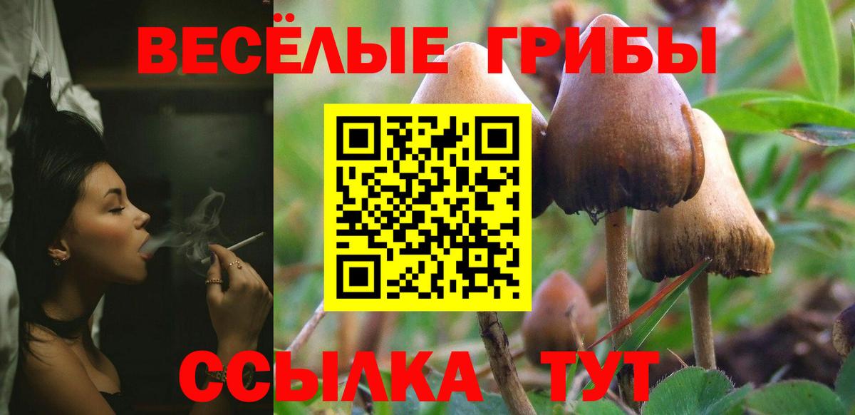 Псилоцибиновые грибы Cubensis Алатырь